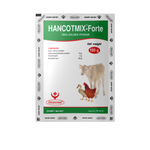 HANCOTMIX-FORTE
