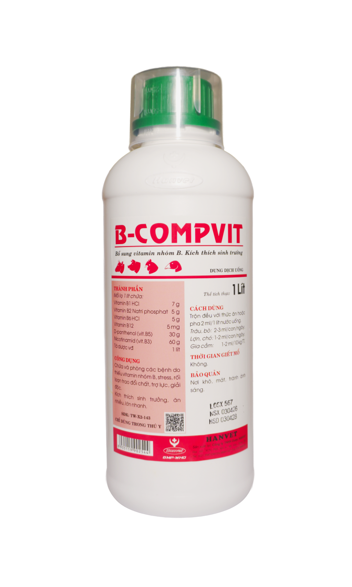 B-COMPVIT