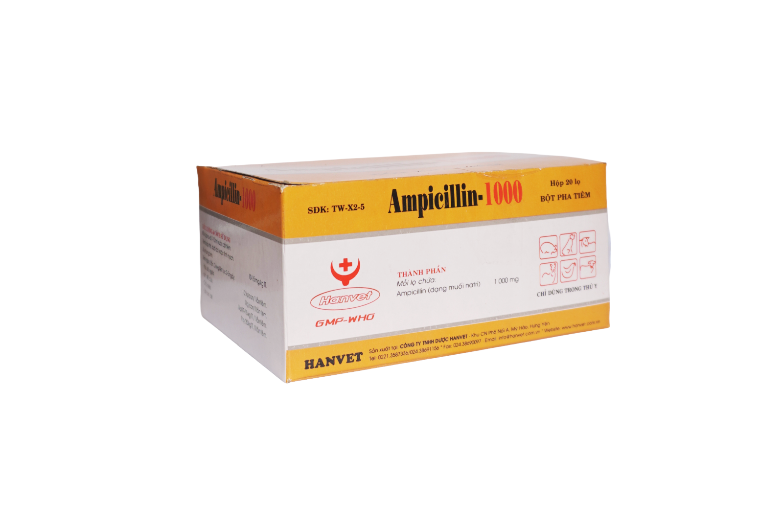 Ampicillin-1000