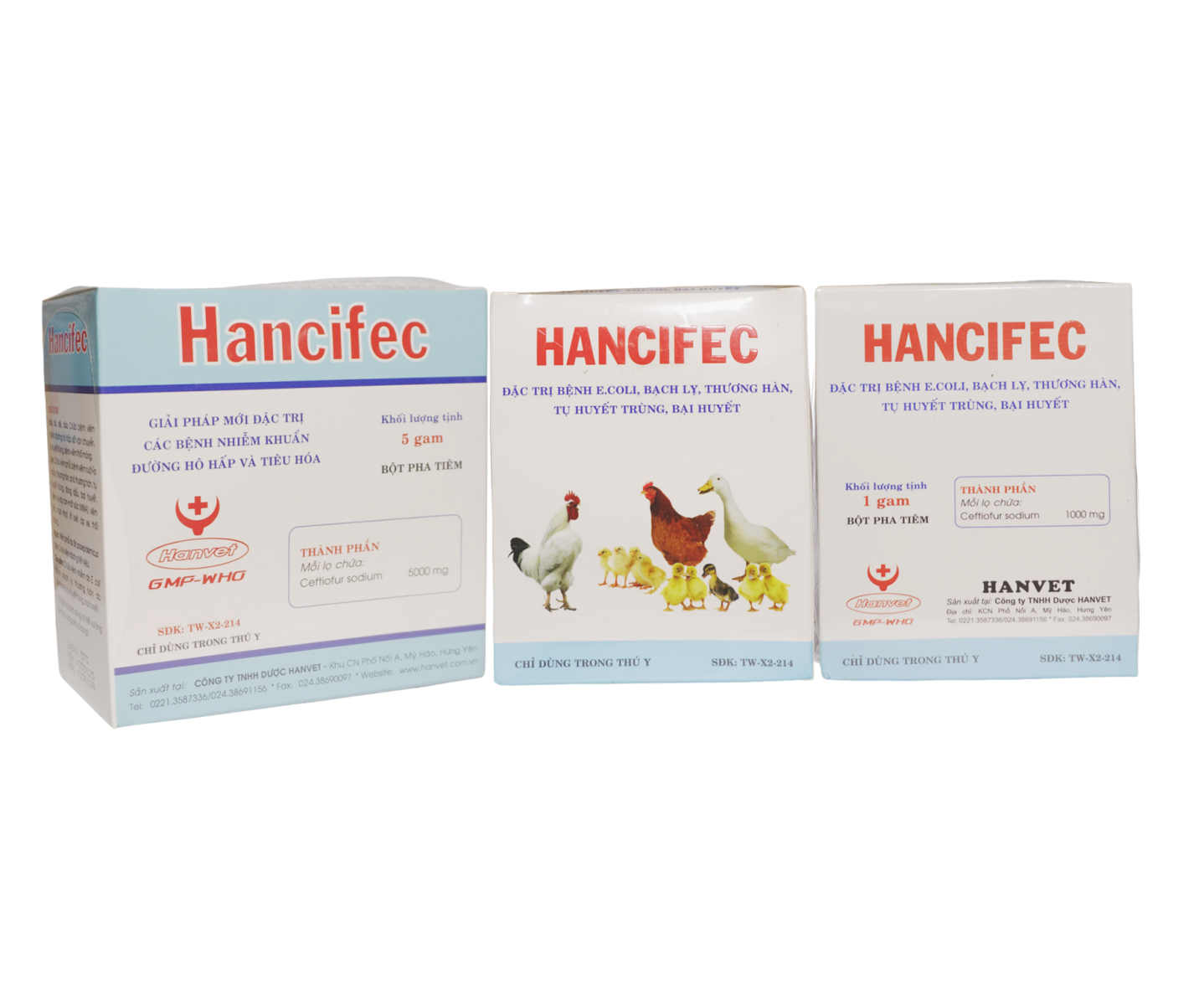 HANCIFEC