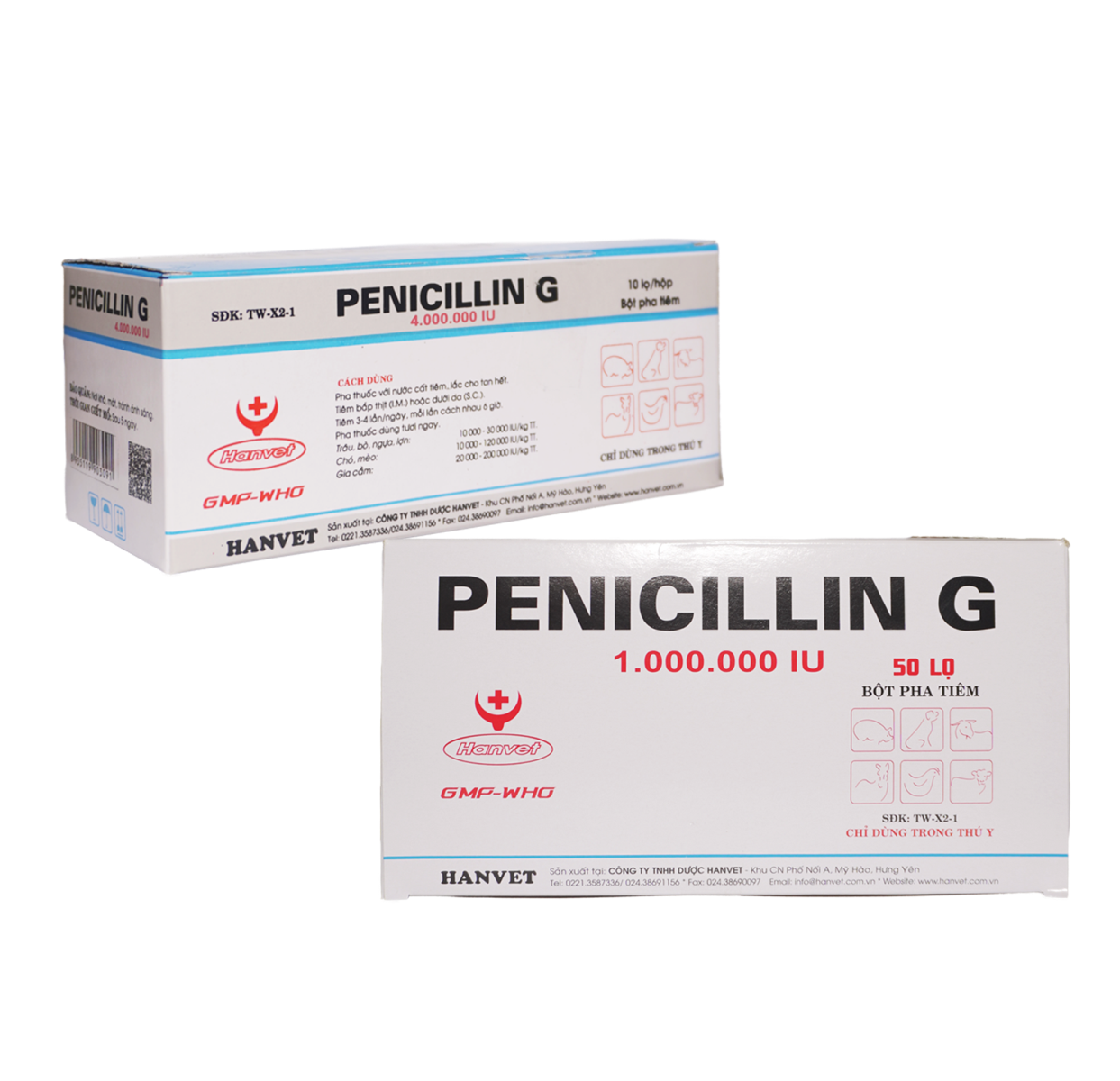 PENICILLIN G