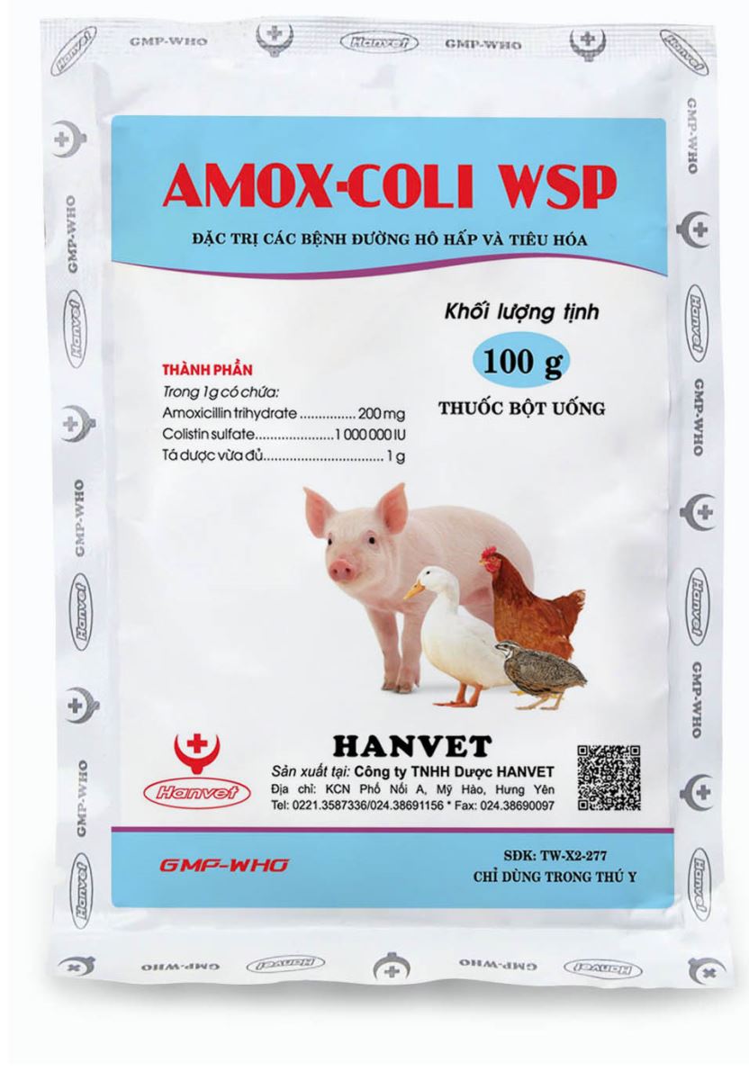 AMOX-COLI WSP