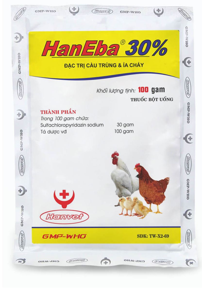 HANEBA 30%