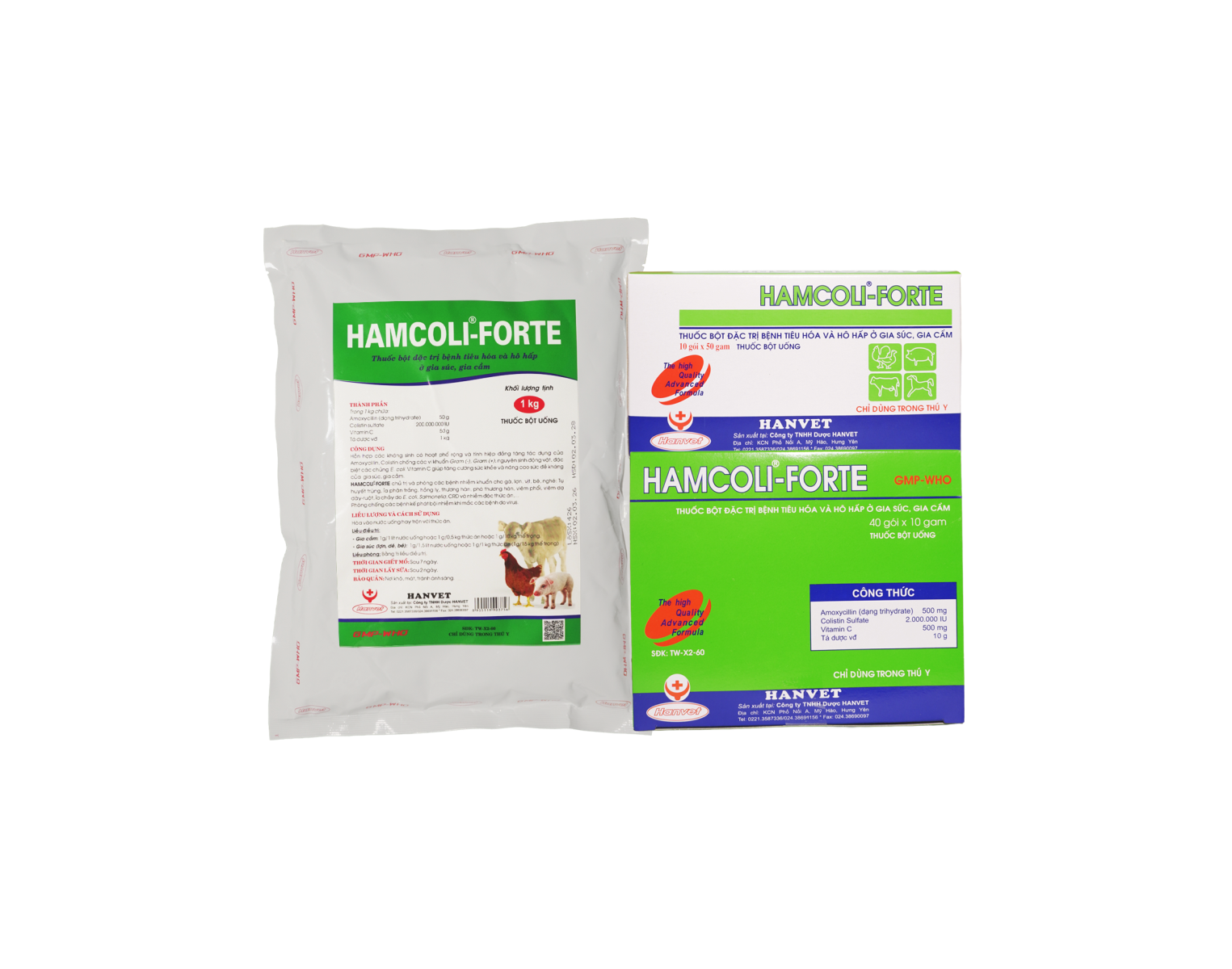 HAMCOLI-FORTE