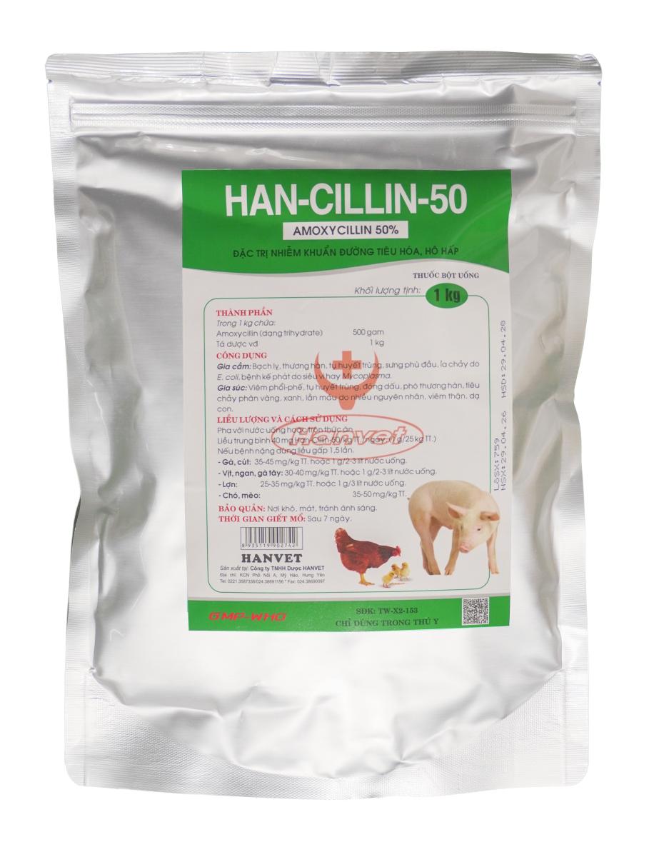 HAN-CILLIN-50
