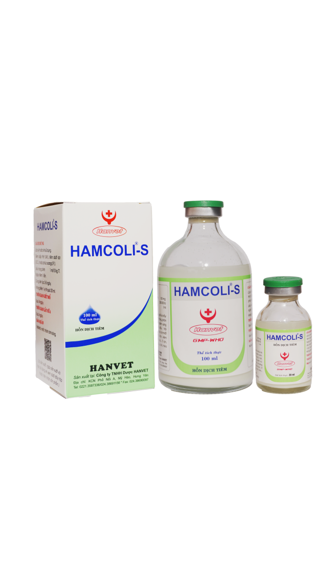 Hamcoli-S
