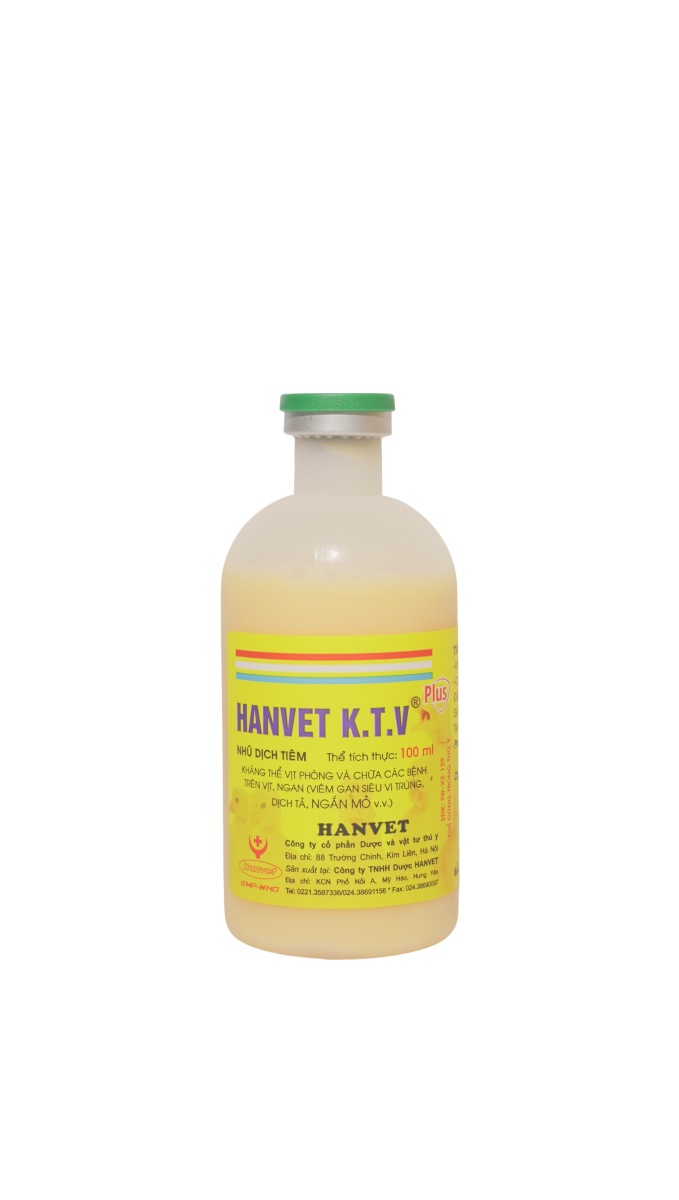 HANVET K.T.V DERZSY'S