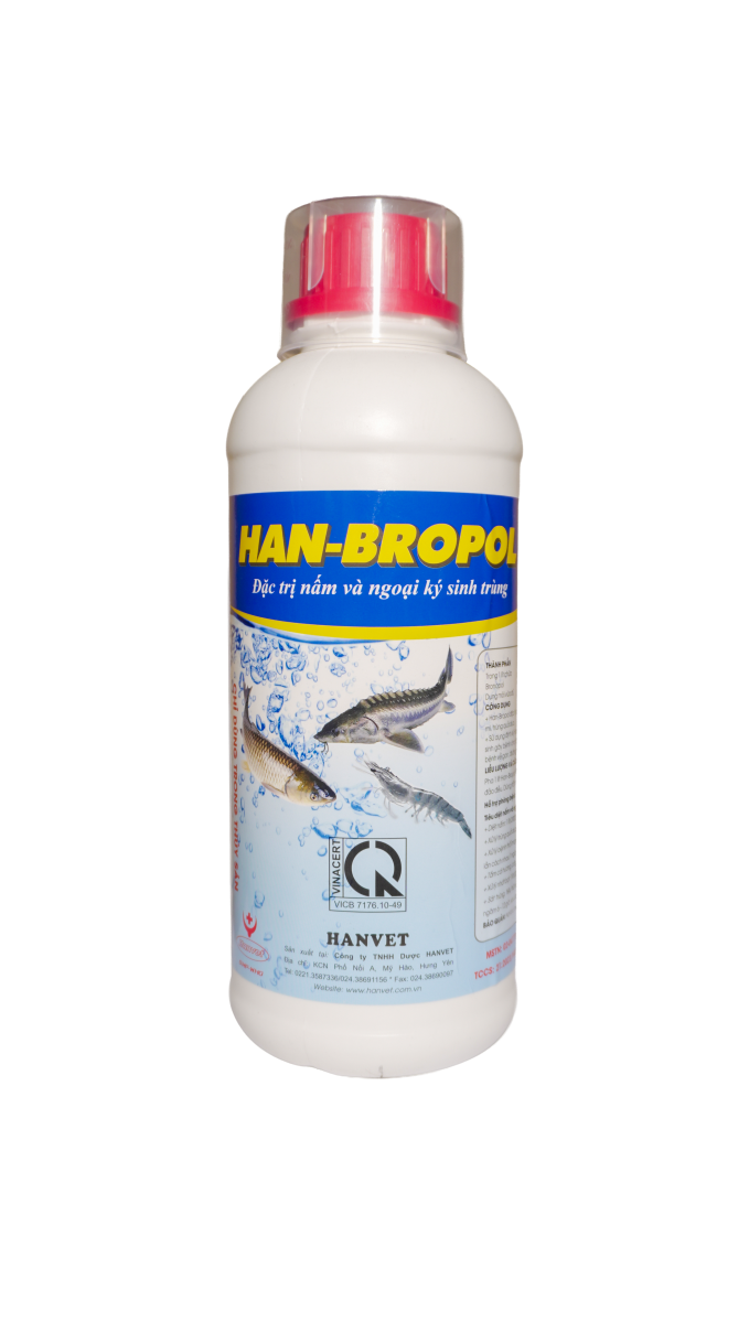 HAN-BROPOL