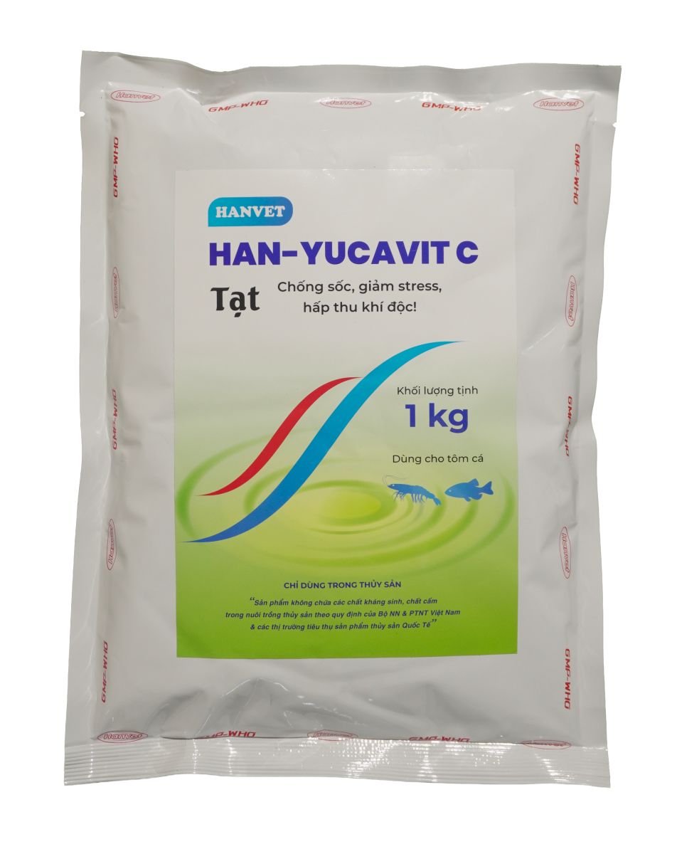 HAN-YUCAVIT C
