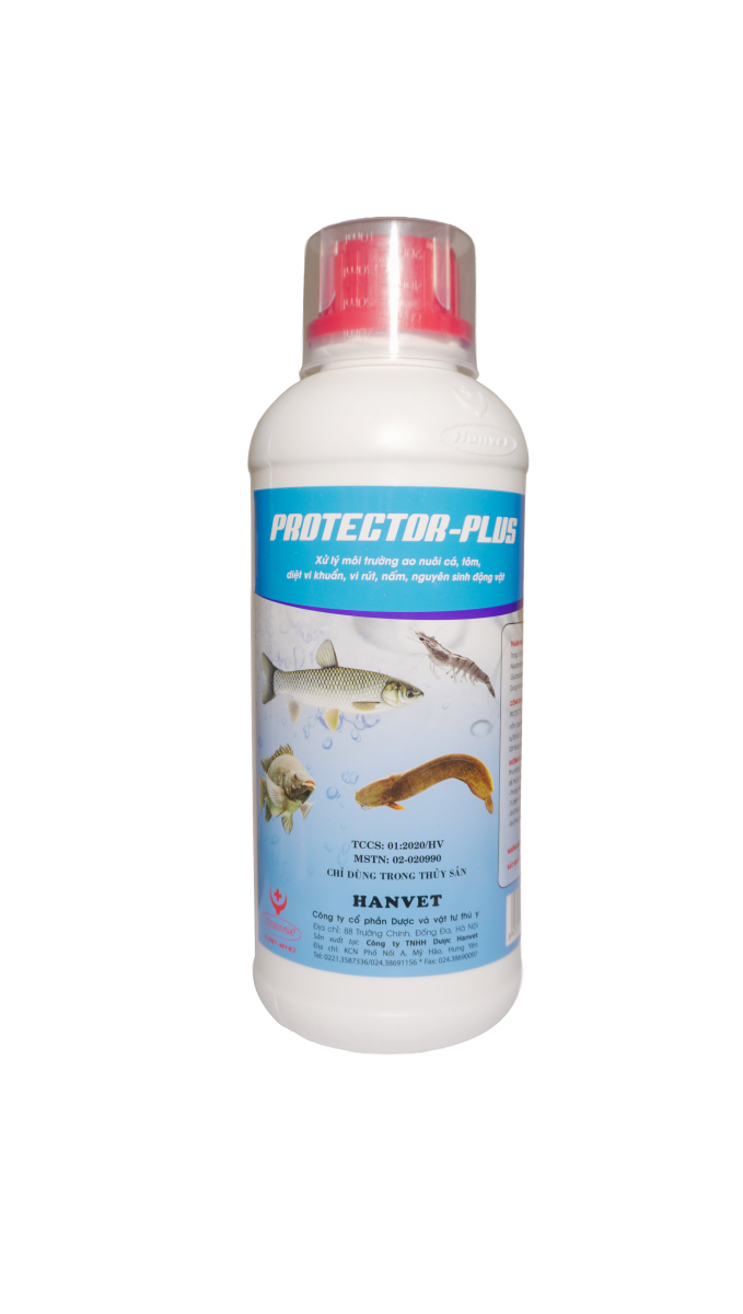PROTECTOR-PLUS