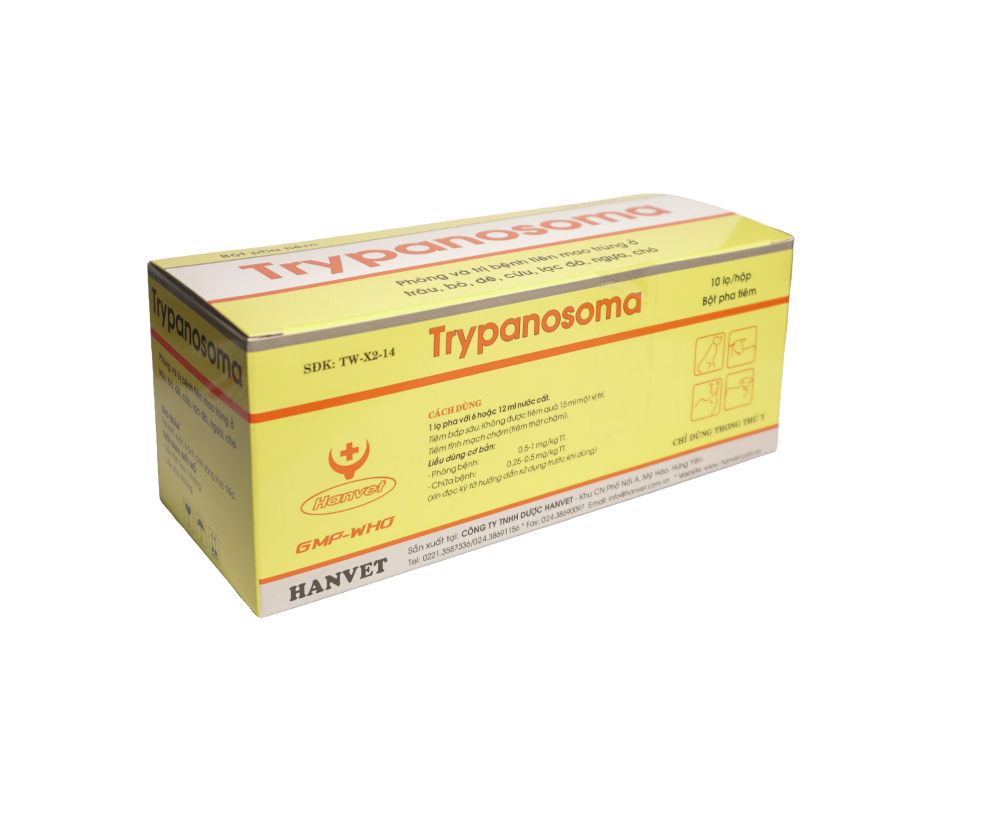 Trypanosoma