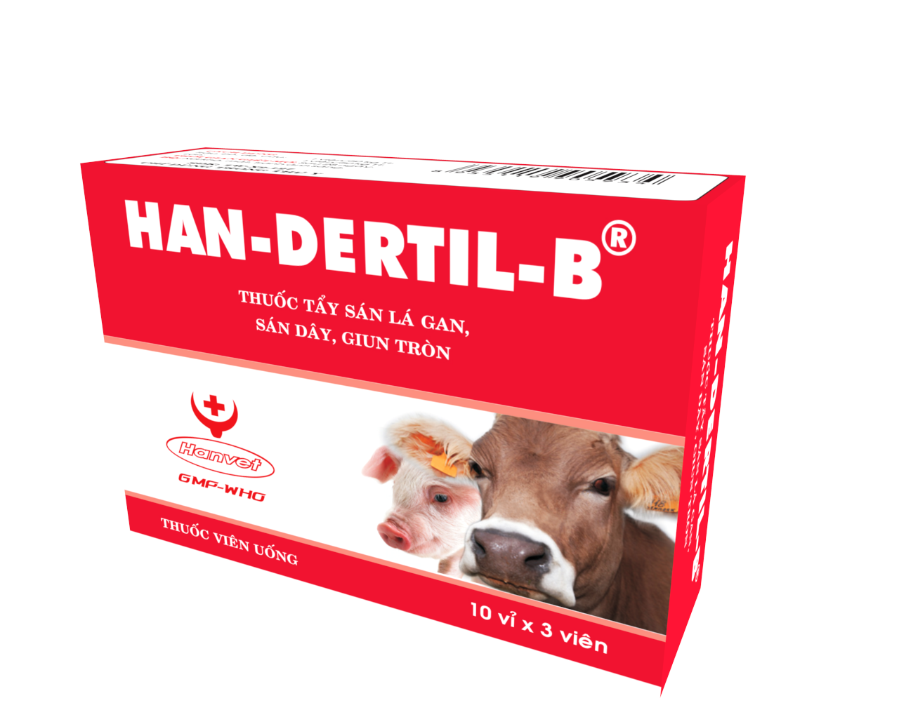 HAN-DERTIL-B