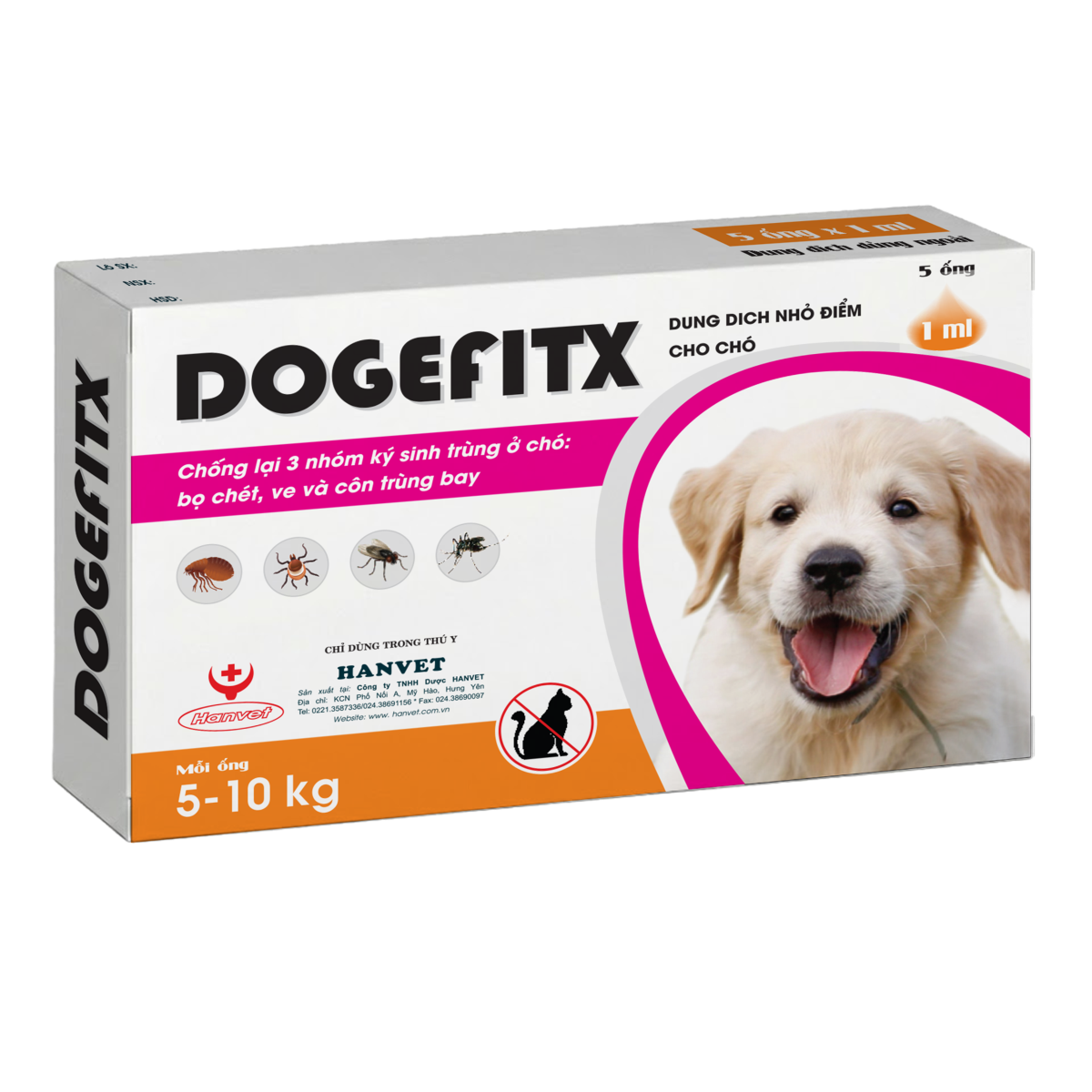 Dogefixt