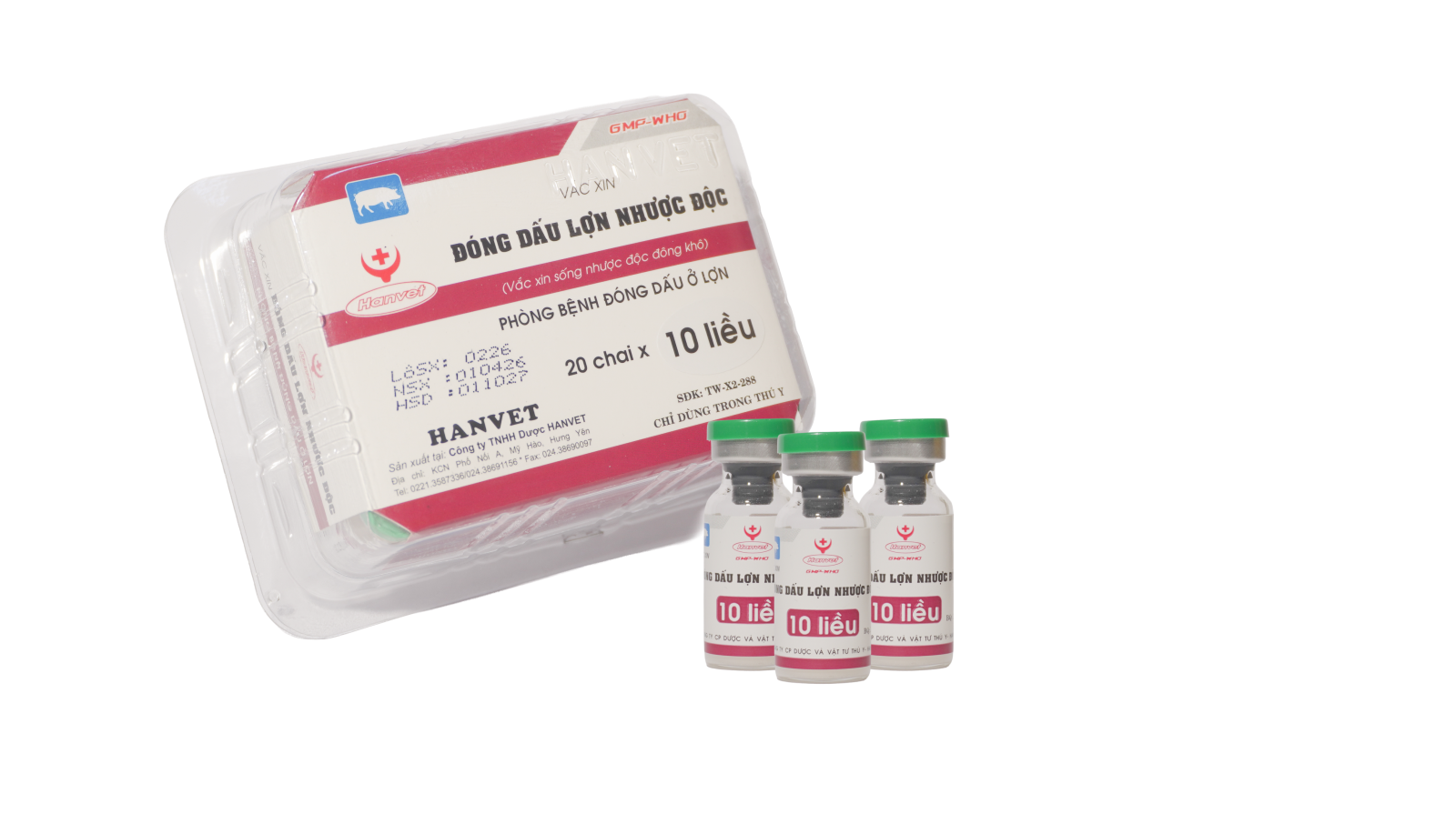 Vắc xin đóng dấu lợn
