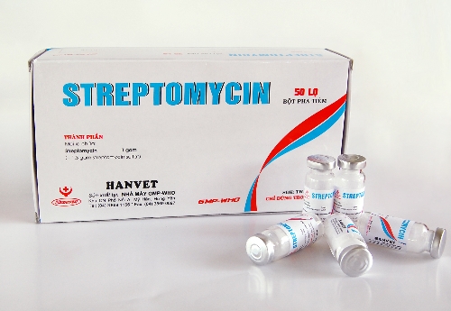Streptomycin  1,3 g