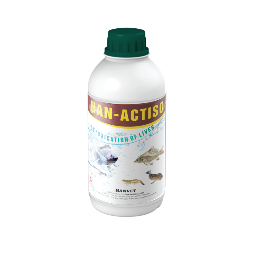 HAN-ACTISO