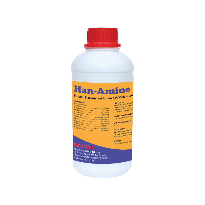 HAN-AMINE