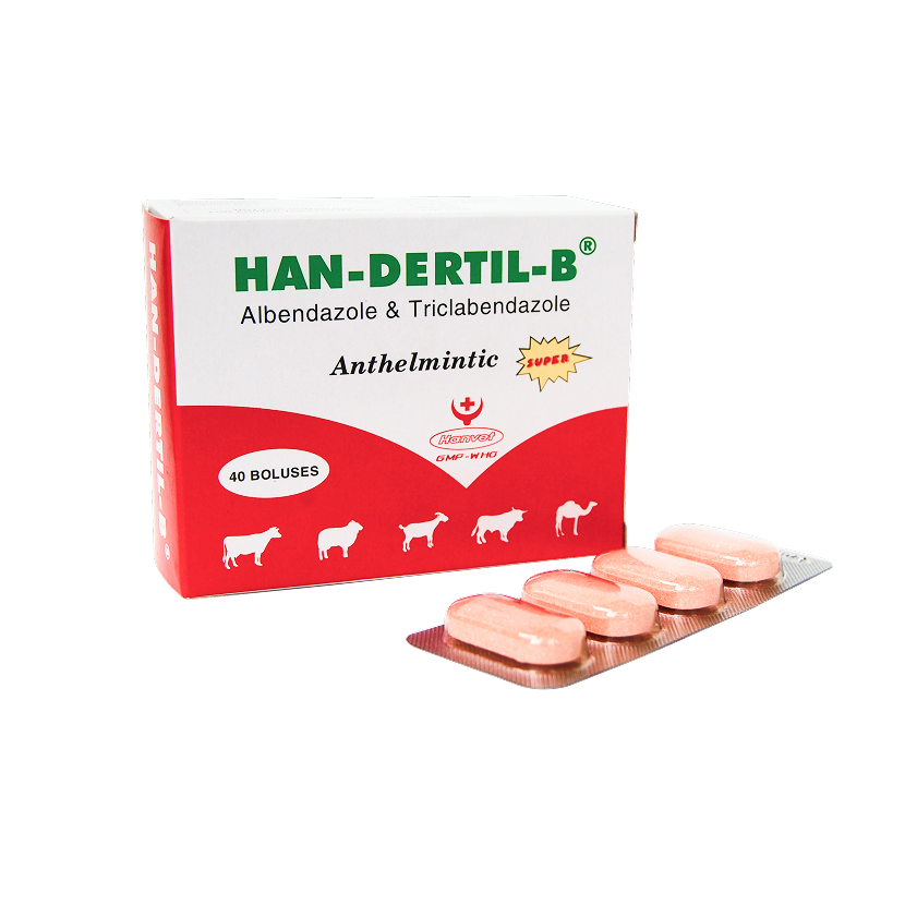 HAN-DERTIL-B