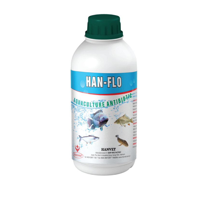 HAN-FLO