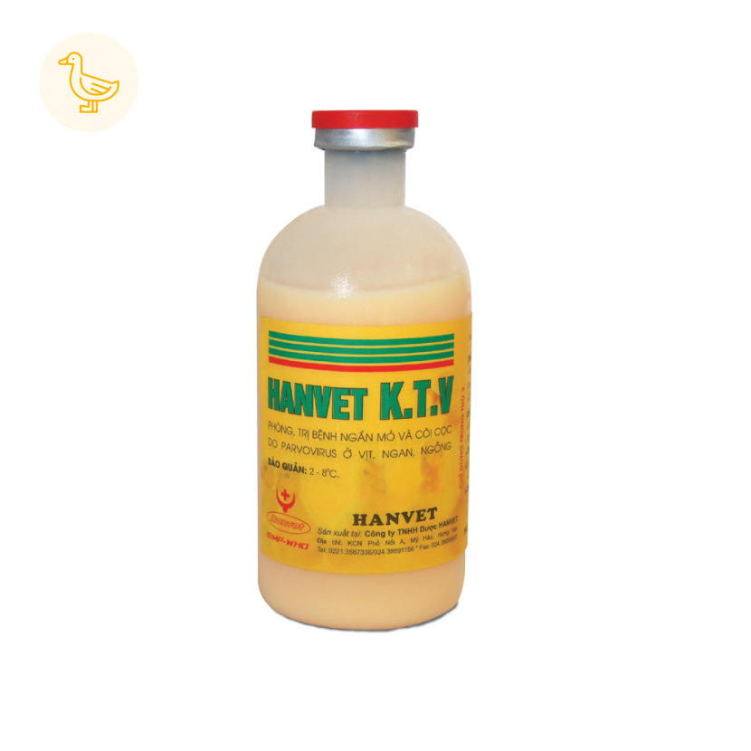 HANVET K.T.V DERZSY’S