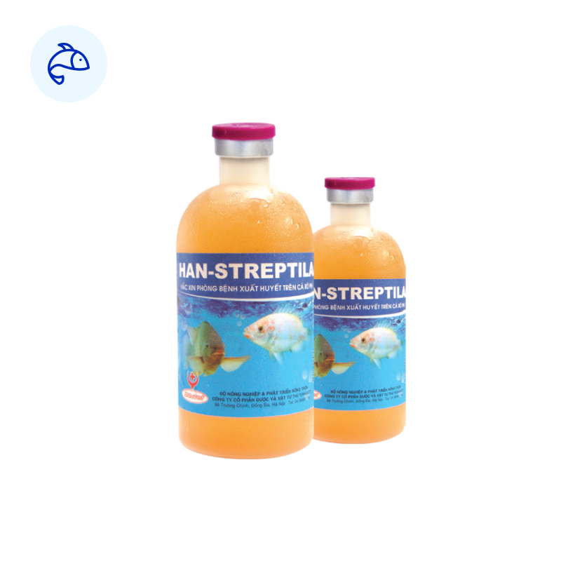 HAN-STREPTILA Vaccine