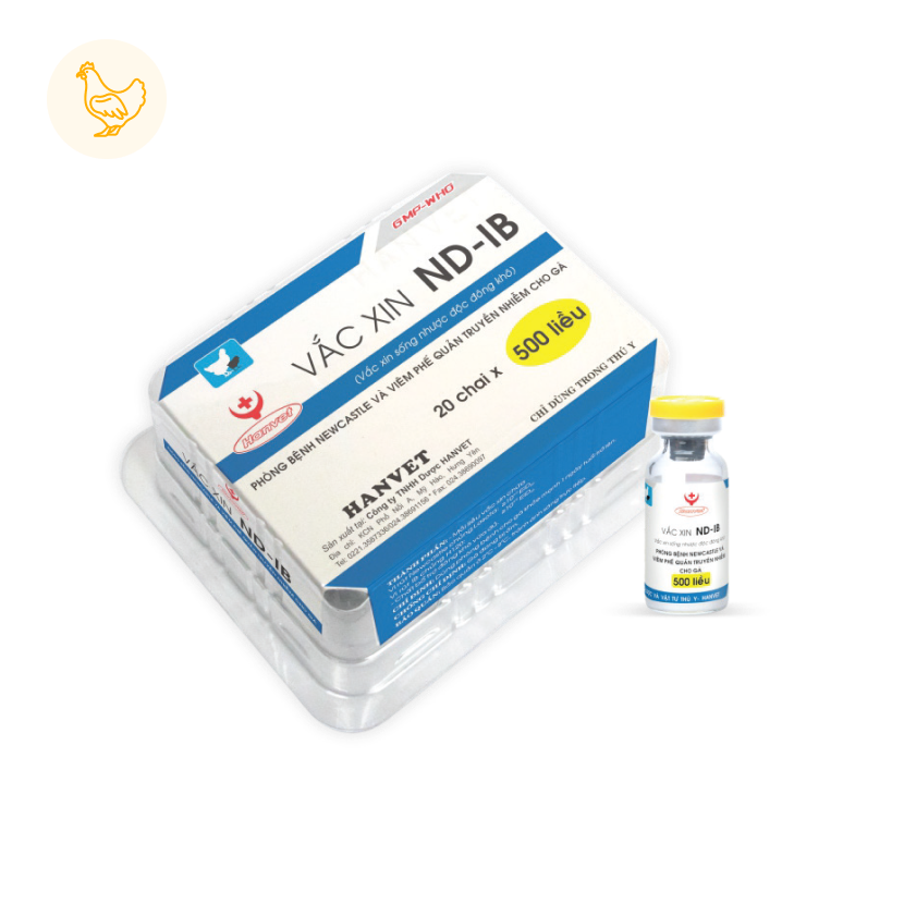 ND-IB Vaccine (Newcastle + Infectious Bronchitis)