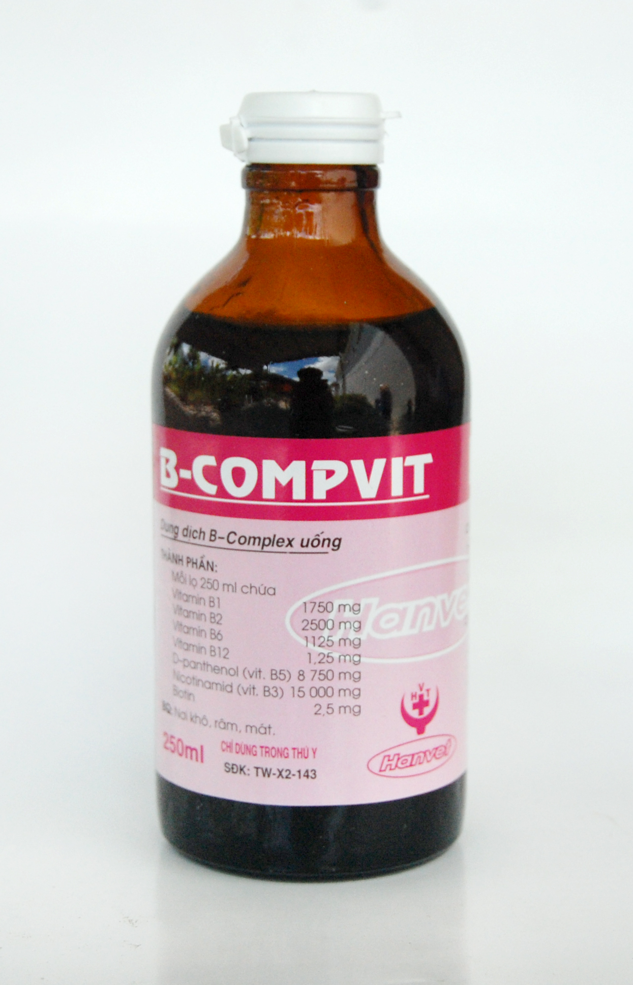 B-COMPVIT