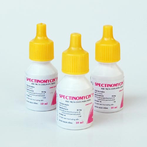 Spectinomycin Inj Hanvet.com.vn - thuốc thú y, thuốc thủy sản - Thuốc thú y, Thuốc thủy ...